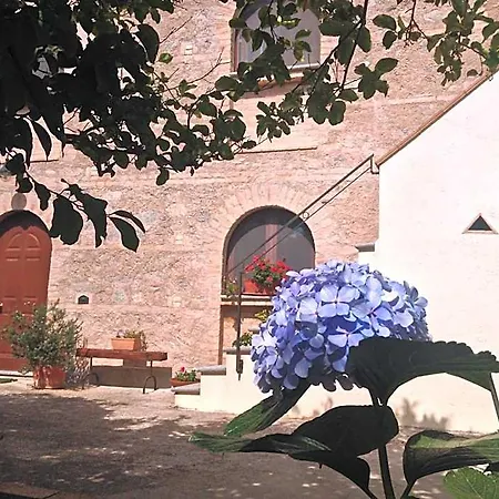 Bed & Breakfast L'oasi 3*